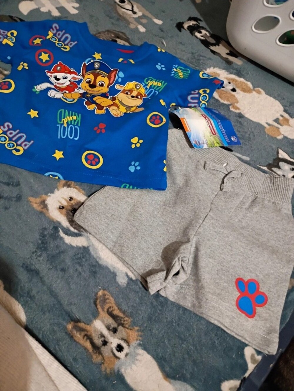 Paw Patrol Blue Character Tee & Gray Paw Shorts Set-a12